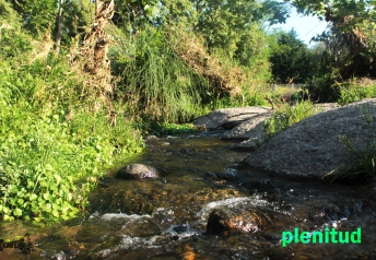 [gallery image]