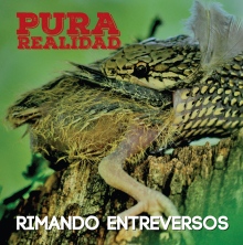[card image]